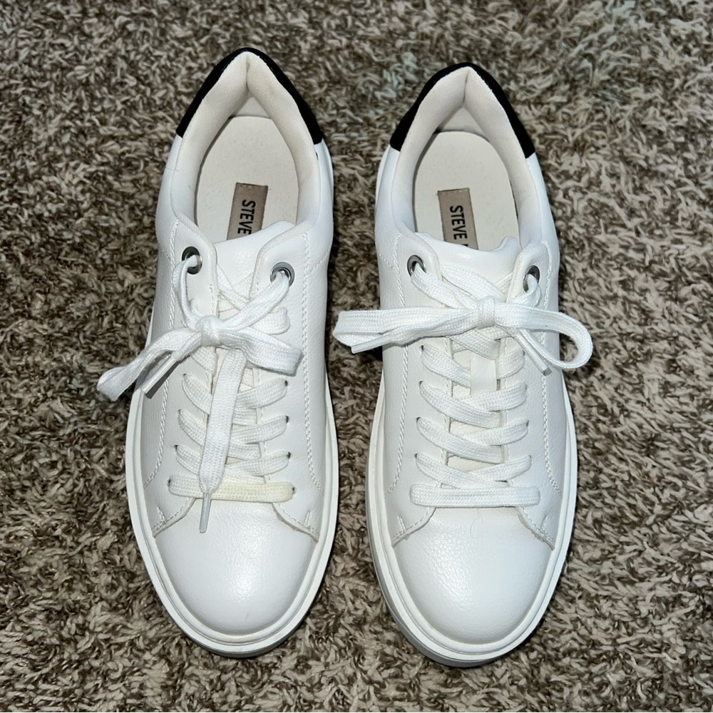 Steve Madden- Catcher Sneakers